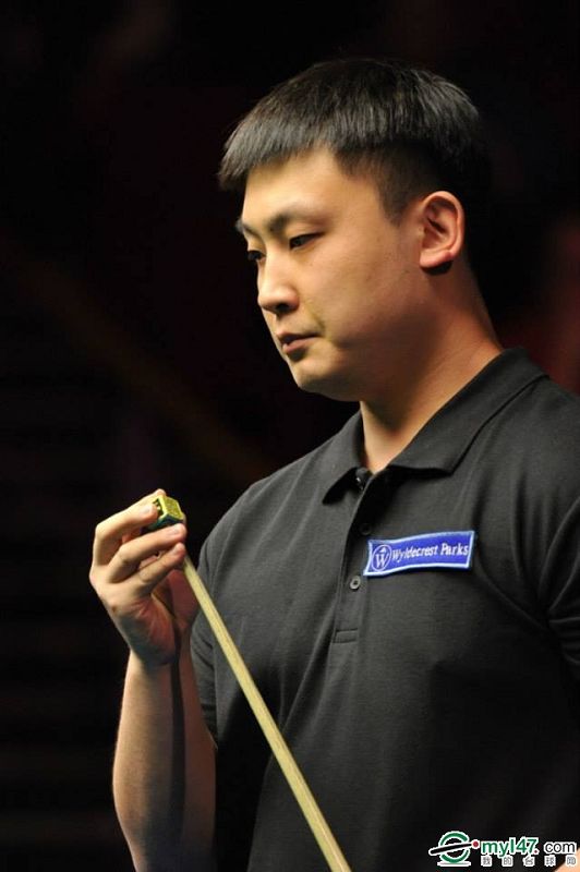 母国的影响 母国的影响