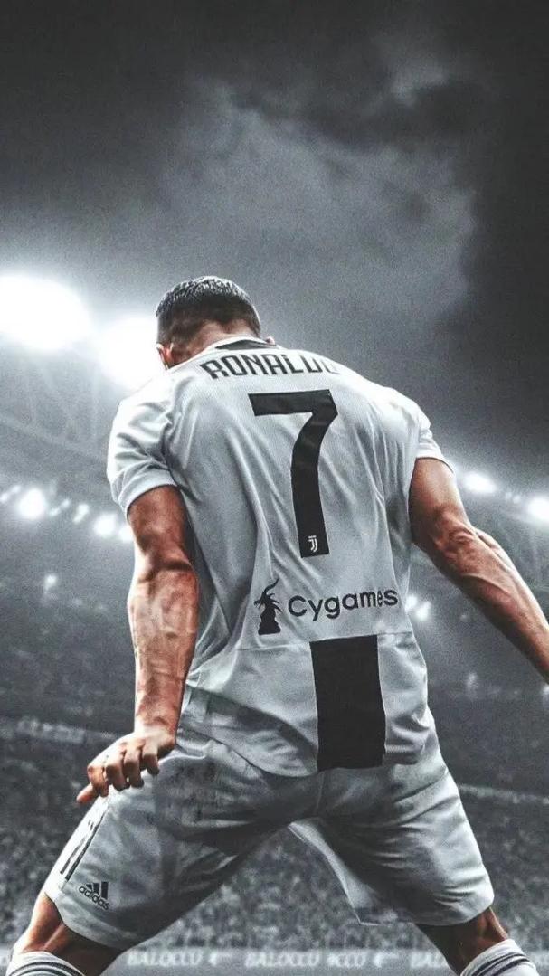 球场特征与 球场特征与